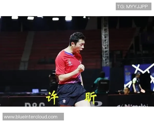 西安网球队防反战术解析与比赛表现的深度剖析